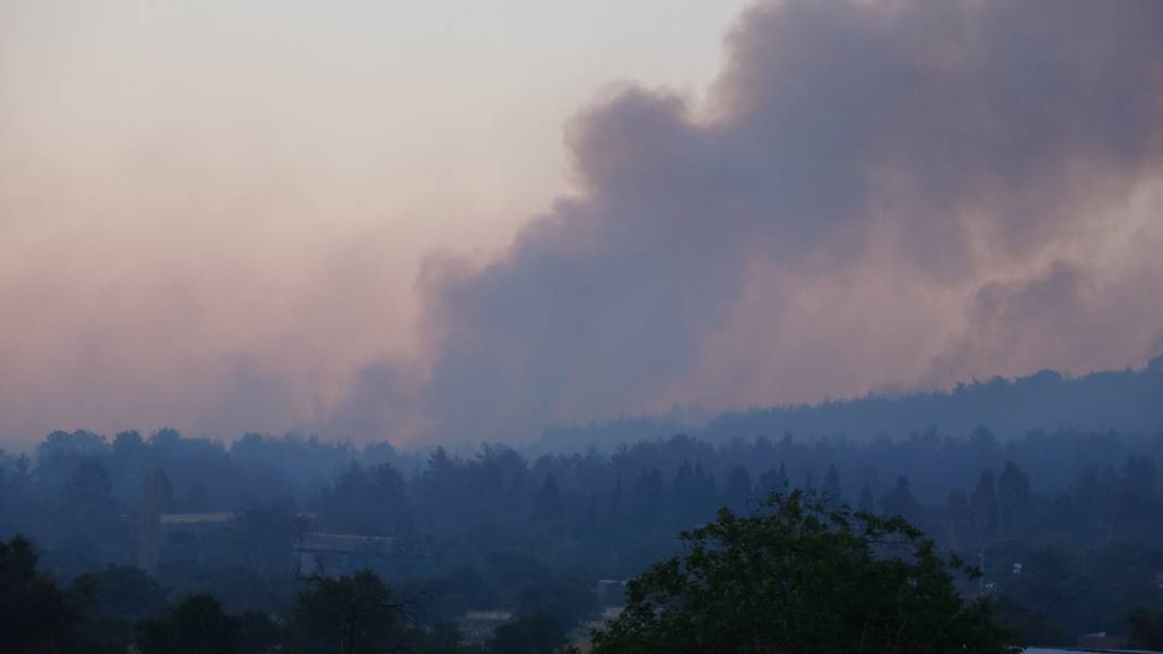 Çanakkale'deki Tarihi Alan'ın güney hattı ziyarete açıldı! Orman yangınında kapatılmıştı 36